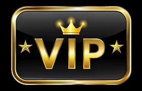 vip logo